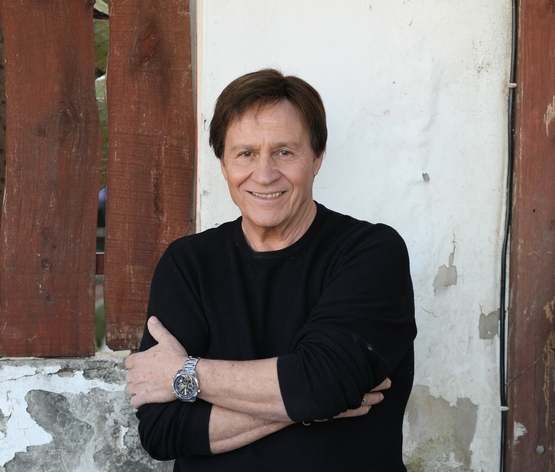 תמונת מופע: אבי טולדנו