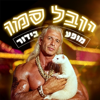 תמונת מופע: יובל סמו - מופע בידור